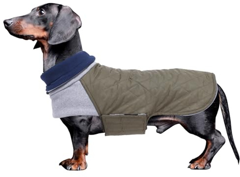 Geyecete Hundemantel Dackel, Dackel Wintermantel, Warmer Quilten Dackelmantel mit Geschirr Loch,Winddicht Rollkragen Hundejacken, Miniatur Dackel Weste für kleine Hunde-grün-M