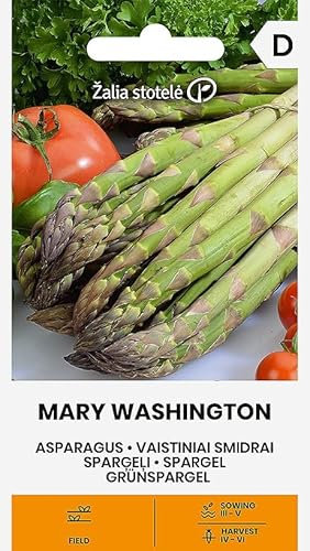 Zalia stotele | Asparagi verdi - semi di Mary Washington | Semi di ortaggi | Semi di piante | Semi di asparagi verdi | Pianta perenne, molto produttiva, decorativa, poco esigente | 1 confezione
