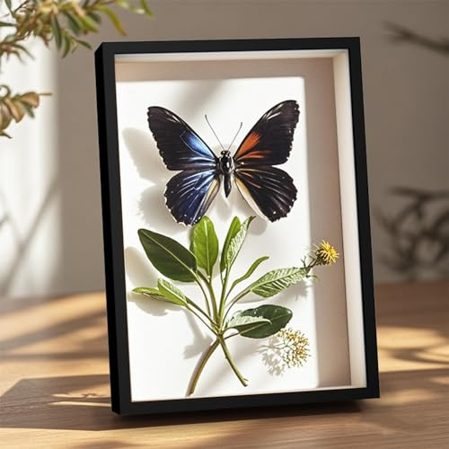 Zykra Cornice Profonda 3D, 20x29 cm Cornice da Riempire per Oggetti Fino a 3 cm, Shadow Box Frame con Foglio Acrilico Trasparente, Cornici Profonde 3D in Legno per Foto, Fiori, Medaglie, Souvenir