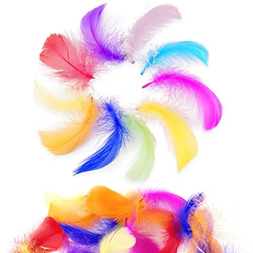 Firschoie 500 Stück Bunte Federn, Federn Basteln, Indianer federn deko, Natürliche Federn für DIY, Hochzeit, Traumfänger, Kopfschmucksfedern, Hüte, Zuhause Dekor, Geburtstag Party 6-12cm