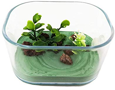 Anthillshop.es Kleine Futterbox mit integriertem Dekor (für alle Ameisenfarme und Ameisen)