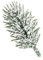 Ideen mit Herz Lot de 55 branches de sapin artificielles avec neige décorative - 6,5 cm de long - Vert sapin