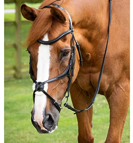 Premier Equine Trense Reithalfter mit gekreuztem Reithalfter Glorioso