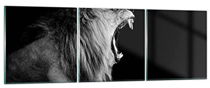 Mehrteilige Bilder auf Glas 120x40cm Glasbild Löwe Gähnen Schwarz und Weiß Groß Wanddeko Schlafzimmer Küche Set 3 teilige Wandbilder Dekoration Wohnzimmer Modern Wand Kunstdruck Art GCA120x40-4252
