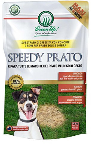 SEMI DI PRATO + CONCIME PER PRATO ERBA RIPARATORE DELLE ZONE DEGRADATE DEL PRATO CHIAZZE MACCHIE NEL PRATO 1,5 KG AMDGarden