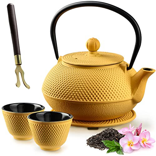 KADAX Théière Japonaise en Fonte de 850 ml avec Intérieur Émaillé, Bouilloire avec Deux Tasses et Infuseur pour Thé en Vrac, Service à Thé Complet (Jaune)
