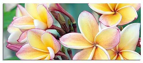 Pixxprint Glasbild Panorama, Wandbild aus Echtglas, Monoi Blüten auf Hawaii, 120x50 cm, inkl. Aufhängung und Abstandshalter