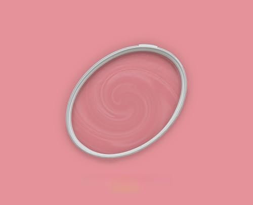 BRICOFLOR Wandfarbe pink 5l oder 2,5l ideal für Kinderzimmer und Schlafzimmer Moderne Farbe für Wand mit Deckkraftklasse 1