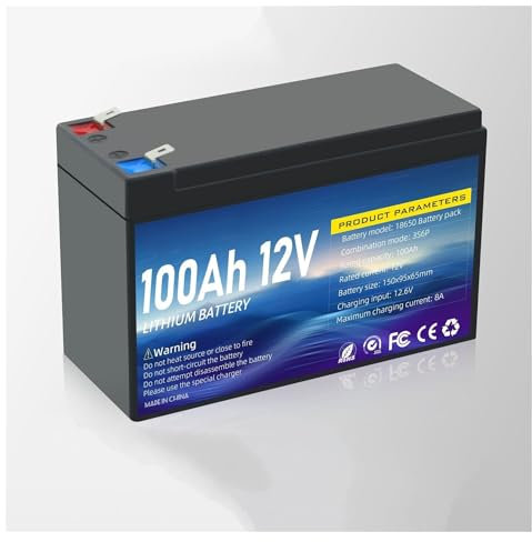 Blivysse Batería de Litio de 12 V, 80 Ah, 100 Ah y 120 Ah, con BMS, Ideal para RV, energía Solar, náutica, Almacenamiento de energía doméstica, autocaravanas, Camping (12 V, 100 Ah)