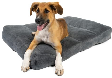 TrendPet Maya Ortho - Orthopädisches Hundebett (80x60cm)
