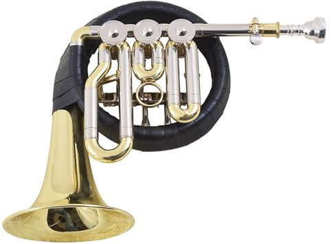 Anfänger-Waldhorn Kleines Waldhorn Tonart B Professionelles Instrument Für Anfänger