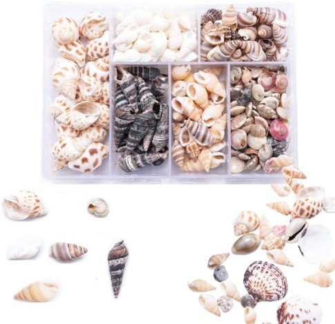 Uskerb 100 Pcs Seashell Mix for Crafts & Decor - Natural Spiral Shells, Starfish, Sea Urchins for Nautical Decor, Beach Themed Parties & DIY Projects