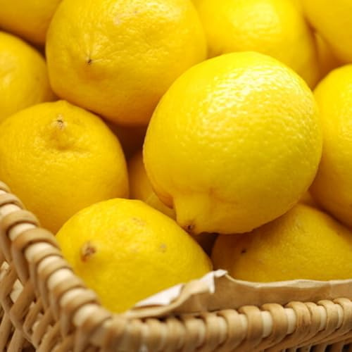 zitronenbaum säulenobst balkon hochbeet zimmerpflanzen spalierobst obstpflanzen winterharte stauden mehrjährig säulenobstbäume kräutergarten büropflanzen obstbaum obstbäume exotische 120samen