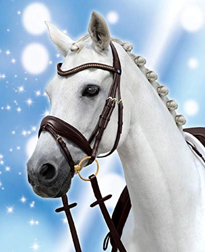 Passier Trense Spirit PASSIERBLU ENGL. RH Havanna Messing anatomisch geformt Warmblut