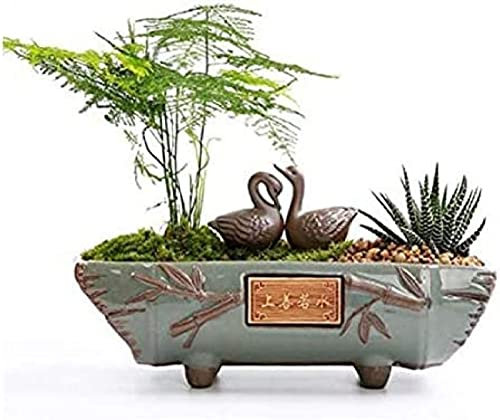 POUR Bonsai-Topf, Grün, Bedienungswerkzeug, Ofentöpfe, Kreative Keramik, Chinesischer Stil, Großer Wen-Bambus, Fleischig, Lila, Sandweinlesestein, Potentiometer,A,Friendly321