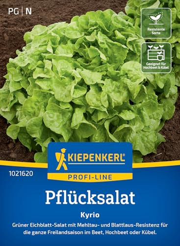 Kiepenkerl Profi-Line Pflücksalatsamen Kyrio 1021620 - Raschwachsende Salatsamen für kreative Rezepte, resistent gegen Krankheiten, für die ganze Freilandsaison geeignet