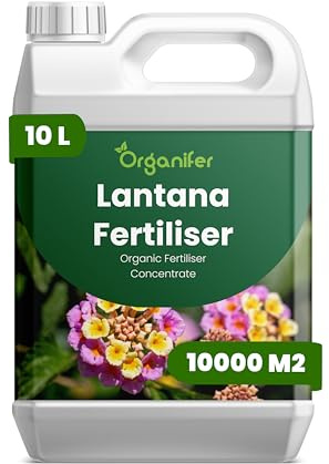 Fertilizzante liquido organico 10L per lantana – vitalità e fioritura duratura – Organifer