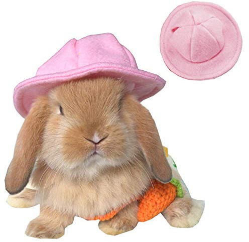 ANIAC Funny Cat Hat for Cat XXS Dog Sun Hat with Ears Hole Rabbit Outfit for Bunny Mini Sombrero Puppy Hat Party Costume Head Accessories for Kitten Kitty Small Breeds (Pink)