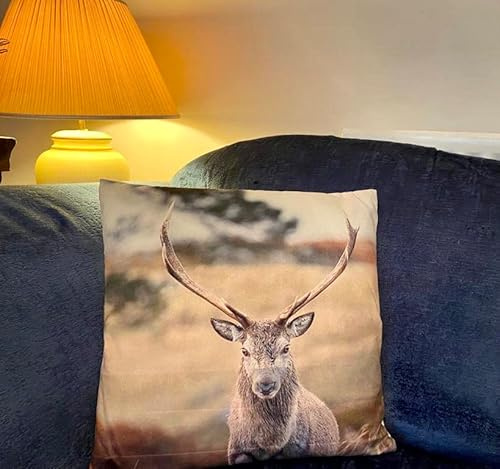 Mezzaluna Gifts Grande cuscino preriempito con cervo invernale da 44 cm (C) prato)