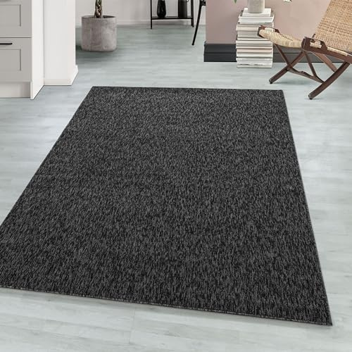 Teppium Moderner Kurzflor Teppich Wohnzimmer 200x300 (200 x 290 cm) Anthrazit - Waschbarer Teppich Meliert, Flauschig, Weich und Einfarbig - für Schlafzimmer, Esszimmer oder Küche