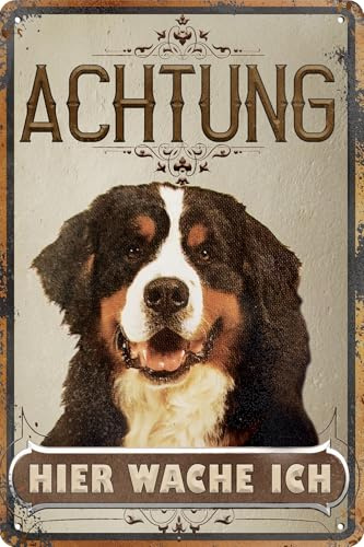 30 x 20 cm wetterfestes Blechschild, Warnhinweis, Torschild, Achtung, hier Wache ich! Warnung vor dem Hund (Berner Sennenhund)