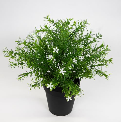 Seidenblumen Roß Sternblütenbusch 28cm im Topf GA Kunstpflanzen Kunstblumen Blumen Pflanzen (Weiß)