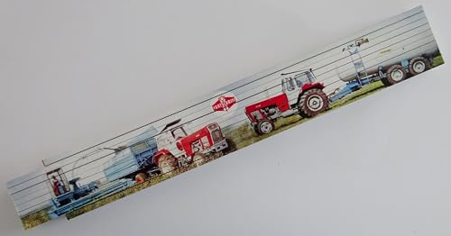 Zollstock Gliederstab Meterstab 2m - Fortschritt ZT Häcksler Mäher Flüssigmistanhänger Gülletank Traktor Trecker DDR