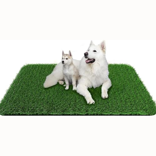 Hundeklo Welpen Training Hundetoilette Ersatzrasen, Kunstrasen Hundeklo Hundetoilette Ersetzen Rasen Welpentoilette Wiederverwendbar Training Pee Pads für Balkon, Garten (Schwarzer Boden,40 * 60cm)