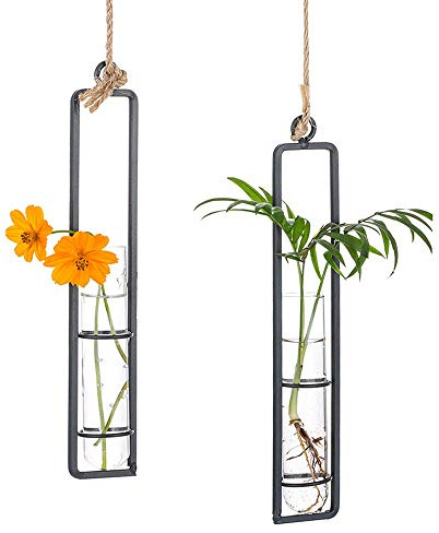 Sziqiqi Uppsättning av 2 hängande planterare terrarium, metalljärn klart glas provrör blomvashållare, vägg hydroponiska växter dekor, dekoration för vardagsrum badrum sovrum kök, S + S
