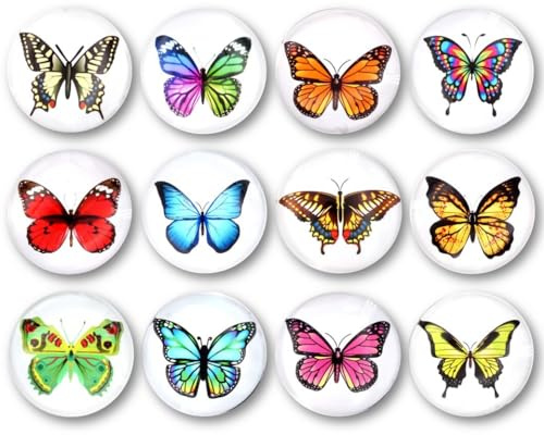 EANAGO Bellissimi magneti motivo >FARFALLA< con superficie in vetro colorato - set da 12 pezzi - diametro 30 mm - con strato di gomma come protezione superficiale - per cucina, ufficio, ecc.