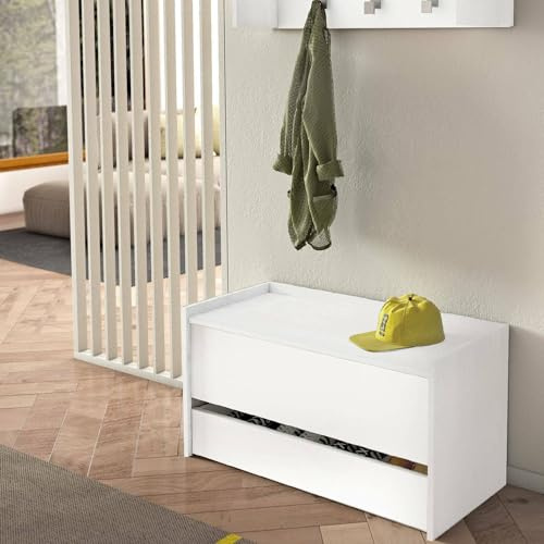 Dmora - Commode Lantana, Meuble d'entrée Moderne avec étagère à Chaussures, Coffre avec Deux conteneurs, 100% Made in Italy, 90x40h46 cm, Blanc