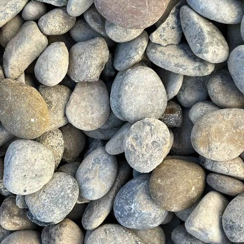 World PLANTIL Gravilla Canto Rodado/Grava de Jardín/Piedra Natural/Saco 20 kg/Piedra decorativa/Exterior - interior (25/40)