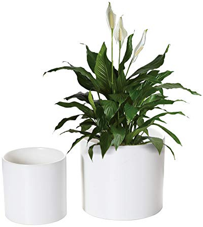 Nihow Blumentopf – 12,7 cm & 17,8 cm KeramikPflanztöpfe für Zimmerpflanzen – Stabiler & moderner zylinderförmiger Pflanztopf mit Drainage & abnehmbaren Gummistopfen – Mattweiß (2erSet) – Pflanzen | Zylinderform, für Zimmerpflanzen, Kräuter/Schlangen/Sukkulenten/Orchideen, Pflanzen nicht im Lieferumfang enthalten