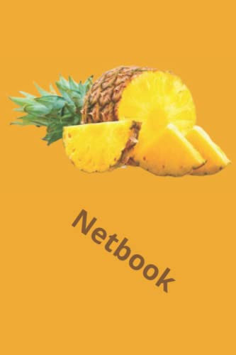 Netbook 2.0