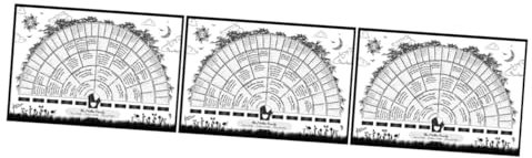 NUOBESTY 3stücke Familienstammbaum Poster Ausfüllbares Genealogie-diagramm Für Persönliche Familiengeschichte Langlebig Zur Wanddekoration Für -familienprojekte