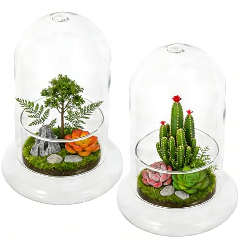 2pcs Cloche Glass Dome with Air Hole and Base, Clear Glass Terrarium Plants Bell Jar Humidity Dome for Smallplants, Home Indoor Tabletop Decoration (No Plants)