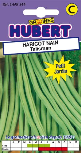 50 Graines de Haricot nain Talisman - Format Petit Jardin
