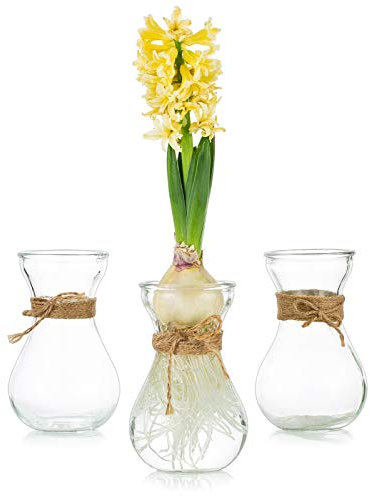 Glass Hyacinth Flower Vases 3PCS/Set Vases for Centerpieces Clear Decorative Vase with Twine Rope for Hyacinth Flowers, Rose, Home, Table