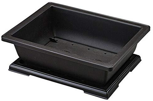 Qiaohome Vaso di Fiori Rettangolo Bonsai Vivaio Fioriera Balcone Contenitore 29 X 21 X 10,5 Cm