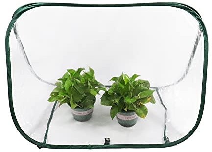 ValueHall Klein überwinterungszelt Pop Up Gewächshaus Mini Foliengewächshaus Treibhaus Tomatenhaus Gemüse Gewächshaus Transparent Winterschutz für Pflanzen V7E04