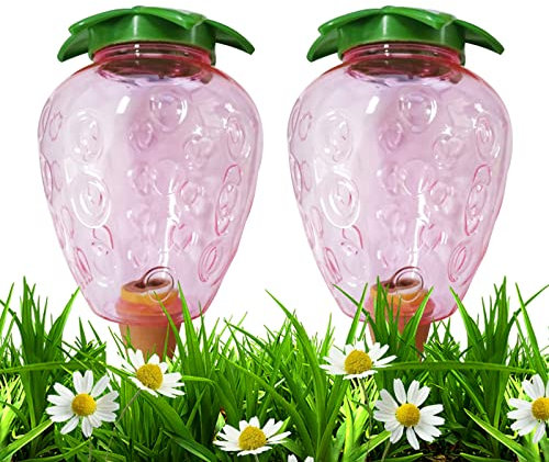 2 Pièces Arrosage Automatique Interieur,Abreuvoir Pour Plantes,Dispositif D'arrosage Automatique Des Plantes,Transparent En Forme Champignon Coeur Fraise Dispositifs D'arrosage,pour Plantes (B)