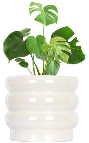 YFFSRJDJ Macetas de cerámica de 10 pulgadas para plantas de interior, maceta esmaltada de perlas arcoíris con macetas para plantas con agujero de drenaje, macetas de orquídeas, maceta suculenta,