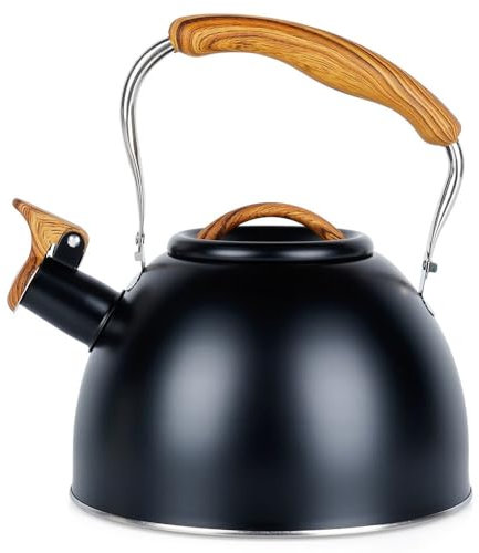 Bouilloire sifflante en acier inoxydable Noir 2,5 l
