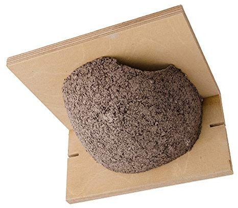 C J Wildbird Foods Limited C J - Nido artificiale per balestrucci (Taglia unica) (Beige)