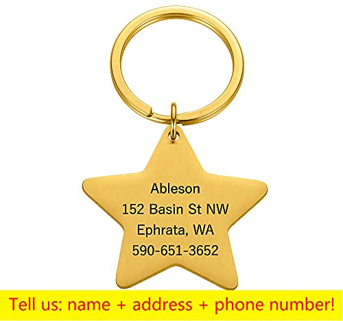 Personalisierte Haustier-Katzen-ID-Abzeichen-Schlüsselanhänger Haustier-ID-Name gravierter Schlüsselanhänger für Katzenwelpenhalsband Haustierzubehör-Gold-Stern-L-für große Haustiere