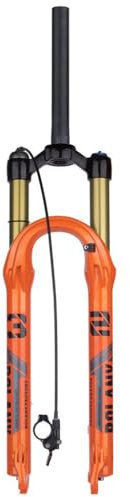 Lega di Magnesio Forche MTB 26 27,5 29 Pollici, Ultra Leggero Mountain Bike Tubo Dritto 1/1-8 Sterzo della Bicicletta Forche Pneumatiche 120mm (Colore : B, Size : 26 inch)