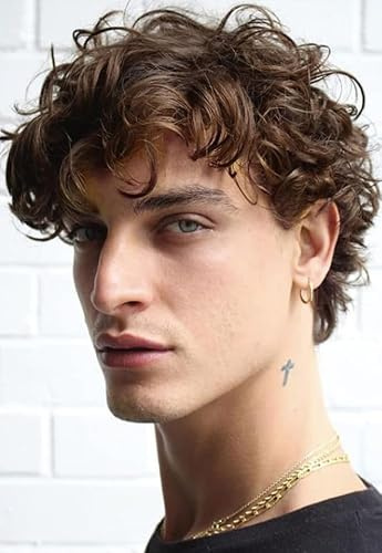 Salaibs Braun Locken Kurze Perücke für Herren Synthetische Natürliche Fluffy Männliche Haar Cap Perücke Tägliche Party Gebrauch