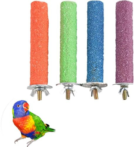 Jushion Papagei Sitzstangen, Sitzstangen für Vögel, Vogelkäfig Sitzstangen Stand Bar, Vogelkäfig Zubehör Spielzeug Barsche Für Papageien Wellensittiche Vogel Kauspielzeug(10cm)
