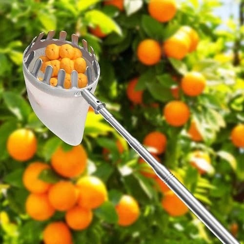 Obstpflücker Mit Teleskopstiel,2-7M Apfelpflücker Mit Leichter Edelstahl TeleskoppfahlKirschpflücker, Pflaumenpflücker (Color : A, Size : 6m(19.7ft))