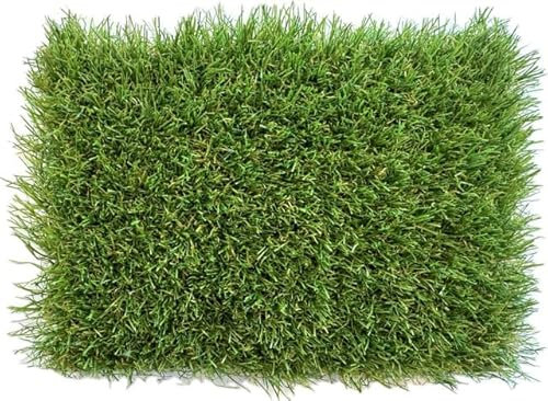 KUNSTRASENWELT - Kunstrasen Flair 630 | Vielseitiger Rollrasen in frischem Grün | Rasenteppich, perfekt für Garten, Terrasse, Balkon & Messen | Kunstrasen mit 30mm Höhe; Größe: 1m x 1m